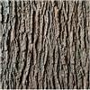 HMTBQT Finta Artificiale Corteccia Rotolo,Sintetica Corteccia di Albero Pianta Copertura delle Piante,per Coprire Tubi,Colonne, Muri,Alberi Paesaggistici Giardini Esterni,Tagliabile(30cmx4m)