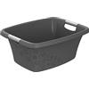 Rotho Flowers Cestino per il bucato 25l, Plastica (PP) senza BPA, antracite, 25l (50.5 x 38.3 x 21.8 cm)