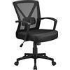 Yaheetech Sedia da Ufficio Scrivania Ergonomica Girevole a Rotelle Supporto Lombare Altezza Regolabile Portata 136 kg Reclinabile con Braccioli Nera