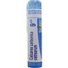 BOIRON Srl Calcarea Carbonica Ostrearum 9CH Boiron 80 Granuli