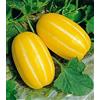 Generic Semi di melone coreano confezione da 100 semi