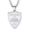 PROSTEEL Collana Bibbia Verso Frase Proverbs Acciaio Inossiabile Ciondolo Religioso Collana Uomo Religiosa Confezione Regalo