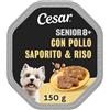 Cesar Senior 10+ Cibo per Cane con tenero Pollo e Riso, 150 g, 14 Vaschette