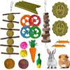lisetar Set di 21 Giocattoli per Conigli, Giocattoli Naturali da Masticare per Coniglio, Criceto, Porcellino d'India e Cincillà, Bastoncini di Fieno Timothy in Legno di Melo, Trattamento per la