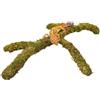 Jinymral Accessori per serbatoio di geco leopardo, forniture regolabili per giocattoli da arrampicata, decorazione per habitat terrario