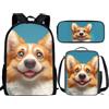 THKVSV Zaino per ragazze e ragazzi scuola elementare zaino per studenti elementari borsa con portapranzo borsa portamatite stampa cavallo, Corgi, One Size, Zaino daypack