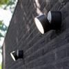 Lutec Trumpet lampada a parete 1 luce, LED, 5626001118, Trumpet [Lampade per Esterni > Lampade a Parete]