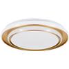 Eglo MEZZOMONTE lampada a soffitto LED, 902044, MOSCHETTA [Lampade per Interni > Lampade a Soffitto]