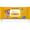 Arya salviette igieniche umidificate detergenti Multiuso 40 salviette Clorexidina - confezione da 6 pezzi - 1° ORDINE? 20% di sconto SU BRAND ESCLUSIVI, codice BZR20