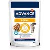 Advance Veterinary Diets Cat Renal Adult supporto renale 85 gr Maiale e pollo - confezione da 12 pezzi - Dieta veterinaria per gatti - 1° ORDINE? 20% di sconto SU BRAND ESCLUSIVI, codice BZR20