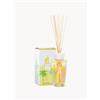 Baobab Collection Diffusore fatto a mano My First Baobab Miami (fior di sale, pino marittimo e cipresso) 250 ml