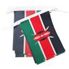 AZ FLAG Ghirlanda 6 Metri 20 Bandiere Kenya 21x15cm, Bandiera Keniota 15 x 21 cm - Festone Bandierine
