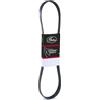 GATES 6PK1020EST Cinghia servizi nero