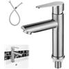 REFORUNG Rubinetto Singolo Acqua Fredda Rubinetto Cucina in Acciaio Inossidabile 304 Solo Acqua Fredda Rubinetti Monocomando per Lavabo con Tubo di Collegamento per Bagno,Toilette,Cucina