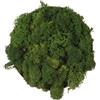 Verde stabilizzato Lichene Stabilizzato Vero 100% Naturale, 1kg - Muschio Scandinavo Conservato per Decorazioni - Ideale per Parete Verde, Terrario, Presepi, Modellismo e Composizioni Fai da Te (Verde Bosco, 1kg)