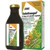 Salus Haus Salus Salufrangol Integratore Per La Digestione e La Regolarità Intestinale 250 ml