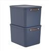 Rotho Maloja - Set di 2 contenitori da 55 l, con coperchio, 53,5 x 40 x 34 cm (lunghezza x larghezza x altezza)