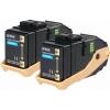 Epson 0604