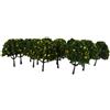 20 Pezzi Modello Treno Giallo Alberi Da Frutta Giardino Strada Layout Scala