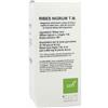 OTI SRL RIBES NIGRUM TM GOCCE 100ML
