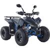 Quad Z-Tech Coyote ATA 125cc Ruota 8"-Blu