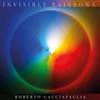 Roberto Cacciapaglia Roberto Cacciapaglia: Invisible Rainbows (Vinyl LP)