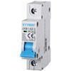 Ettroit Interruttore automatico magnetotermico modulare 1P 32A 6KA 220V Ettroit
