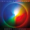The Last Music Company Invisible Rainbows