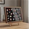Contenitore Vintage Antipolvere Decorativo Espositore da Parete per Studio