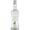 MONIN LIQUEUR DE MANZANA VERDE MONIN 70 CL