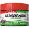 PRO NUTRITION Collagene Marino + acido ialuronico 160 gr - PRO NUTRITION