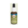 Fluent Expression Australian Bush Flower Essences 30ml