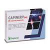 Capinerv Dol 20 Compresse Gastroprotette