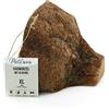 PetLove Radice d'Erica da Masticare per Cani con Olio d'Oliva - Giocattolo 100% Naturale - Osso con Minerali - Bastone Naturale, Taglia: XL (751-1000g)