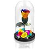 Aluisi Fiori - Rosa Stabilizzata Multicolore - Base in Legno Nero con LED - Rosa Stabilizzata Vera in Campana di Vetro - Fiori Stabilizzati