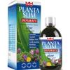 Winter Planta Slim aloe effetto Depurativo Integratore Alimentare 500ml