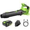 Greenworks Soffiatore 24V Premium Brushless, 14,58 m³/min, 209 km/h, Tecnologia QUIETFORCE, con Batteria USB 4Ah e Caricatore USB-C 65W BL24515A2