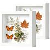 OUTALIZ Set di 2 Cornice Portafoto 3D, Cornice Profonda da Riempire 25 x 25 cm, con Lastra Acrilica Trasparente, Cornici per Oggetti 3D Più Profonda di 3 cm, per Oggetti, Bouquet da Matrimonio, Bianco