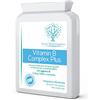 swiss bioenergetics Complesso Vitaminico B Plus - Formula metilata superiore con colina, PABA e inositolo - Vitamine B essenziali B1, B2, B3, B5, B6, B12 - 90 capsule alto dosaggio