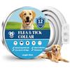 BoYata Collare Antiparassitario Per Cani, 12 Mesi di Protezione Sicura ed Efficace, Oli Essenziali Naturali Al 100%, 65 cm Regolabile Impermeabile Collare Antipulci e Zecche per Tutti i Cani