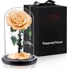 APKOL Rosa Stabilizzata Vera in Vetro, Rosa Eterna Realizzati con Rose Vere, Fiori Stabilizzati sotto Vetro a Cupola, Regalo Donna Compleanno, Regalo Mamma, Regalo Fidanzata, Moglie,Champagne