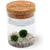 KAKI La Felicità è Nelle Piccole Cose La Felicità è Nelle Piccole Cose Marimo Coppia Originale Vaso Vetro con Tappo Sughero, Artigianale, Fondale Bianco, Diametro 8cm, Altezza 11cm, Made in Italy