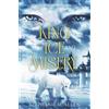 Stephanie M Allen King of Ice and Misery (Tascabile) Assassins of Quadrania