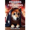 Faith Walker Felonies and Fireworks (Tascabile)