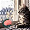 Rete per Gatti Da Balcone 3X2M, 2 Pz in Nylon Resistente UV, Protezione Sicura S