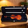 Custodia Violino 4/4 Portatile Valigia Rigida Violino Resistente All'usura