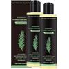 Generico Shampoo per la crescita dei capelli al rosmarino, shampoo rinforzante e volumizzante con cheratina idrolizzata, nutriente e idratante, rinforzante per capelli, per donne e uomini,2pcs