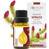 Essences Bulgaria Olio Essenziale Di Abete Biologico 15 ml | Picea Abies | 100% Puro | Naturale | Non Diluito | Grado Terapeutico | Aromaterapia | Cosmetici | Cruelty Free | Non OGM