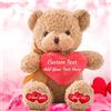 MeterBear Orsacchiotto di peluche personalizzato con foto e testo su cuore, Teddy Bear Orsetto di peluche con cuore come regalo di Mi dispiace per lei e lui per San Valentino, Compleanno (25cm)