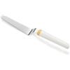 Tescoma 630057 Mini Spatola alta per spalmare, in acciaio inox